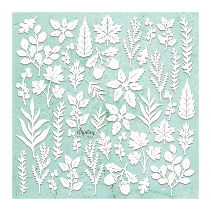 Mintay Chippies - loodus 2