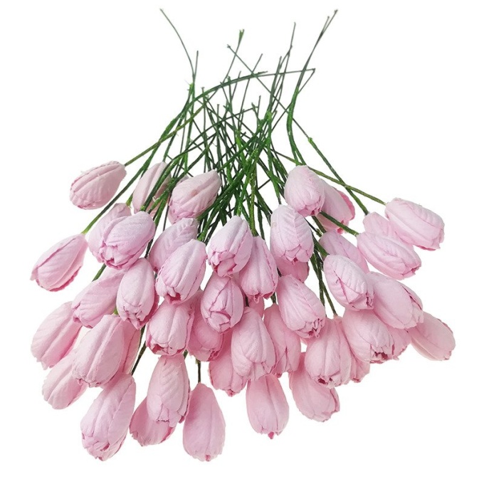 Väike tulp, heleroosa 10 tk