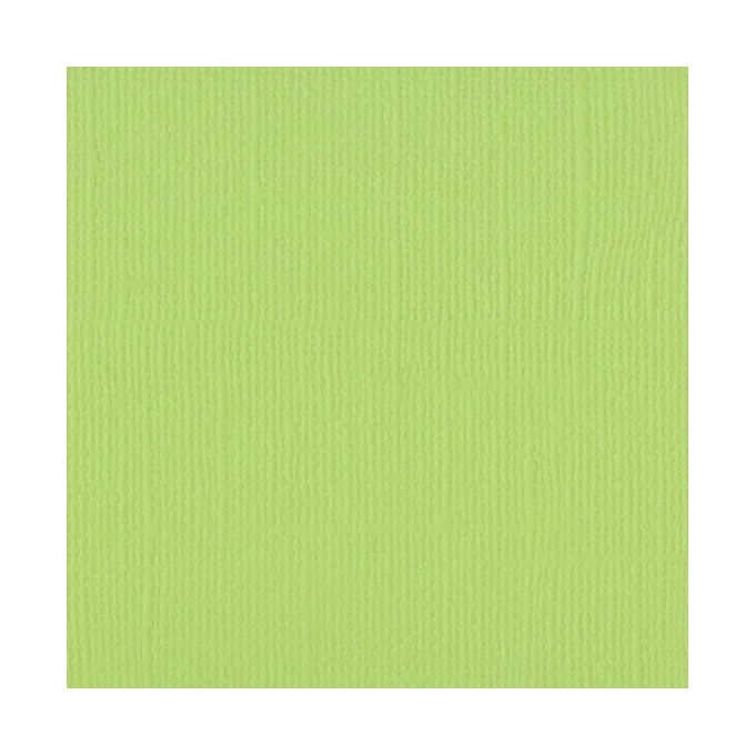 Tekstuurne kartong Celery, 216 g/m², A4