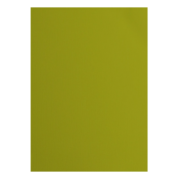 Tekstuurne kartong Fern, 216 g/m², A4