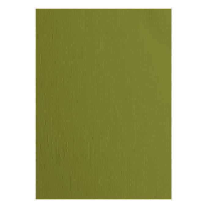 Tekstuurne kartong Olive, 216 g/m², A4