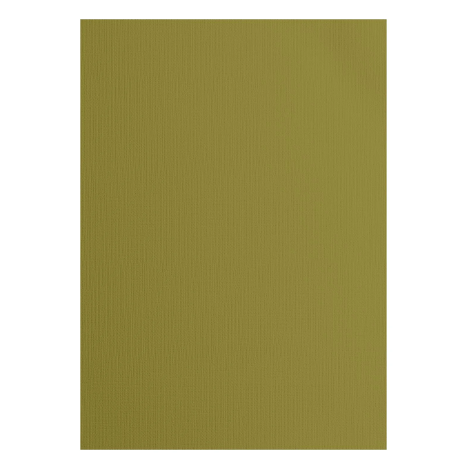 Tekstuurne kartong Acacia, 216 g/m², A4