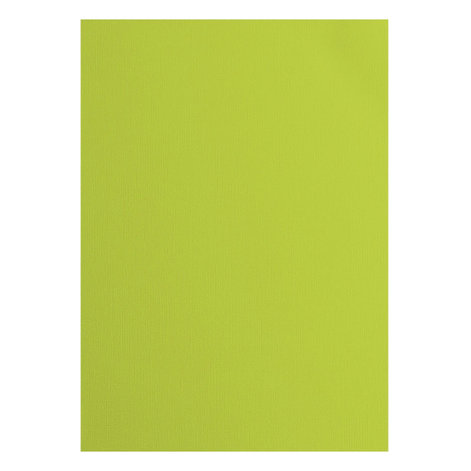Tekstuurne kartong Lime, 216 g/m², A4