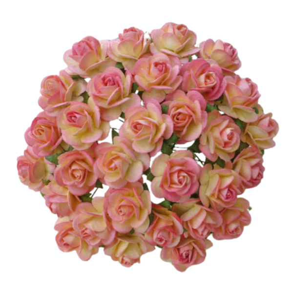 Avatud õiega roos 25 mm (10 tk), champagne pink
