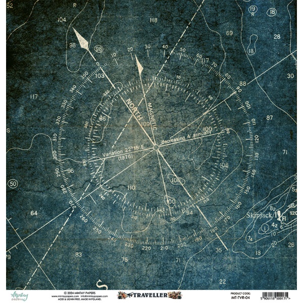 Traveller 04