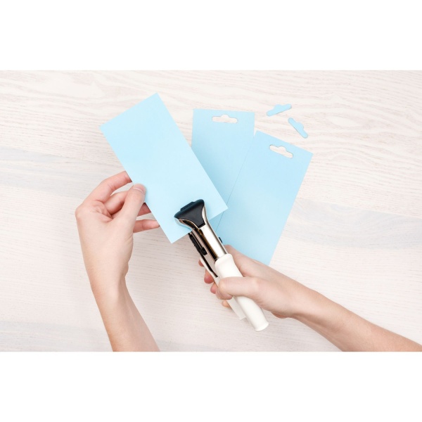 Euro riputusaasa motiivaugusti