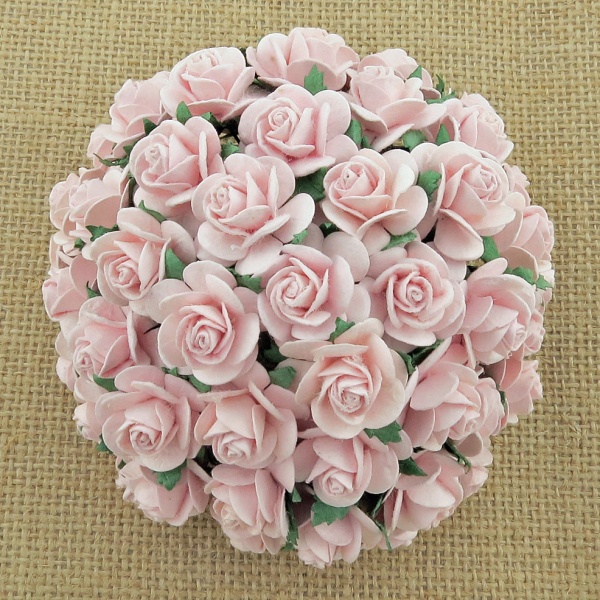 Avatud õiega roos 15 mm (10 tk), uduroosa